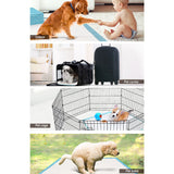 Pet Care > Dog Supplies 200pcs Puppy Dog Pet Training Pads Cat Toilet 60 x 60cm Super Absorbent Indoor Disposable