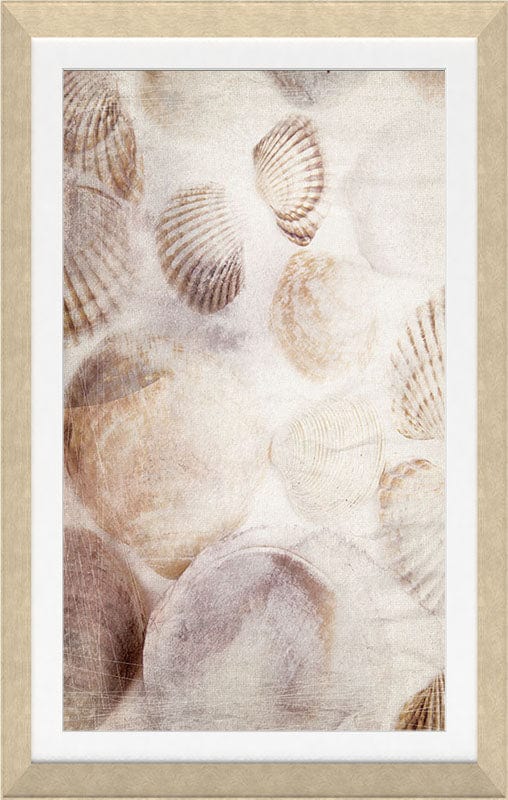 Seashell Framed Textured Print Seashell Framed Textured Print
