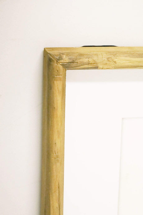 Chrysanthemum Framed Prints