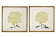 Chrysanthemum Framed Prints