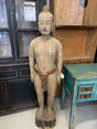 Acupuncture Asian Man - XL Acupuncture Asian Man - XL