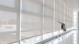 Elite Sunscreen Roller Blinds