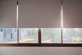 Premium Blackout Roller Blinds