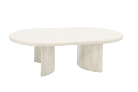 Mango Wood Natural Coffee Table