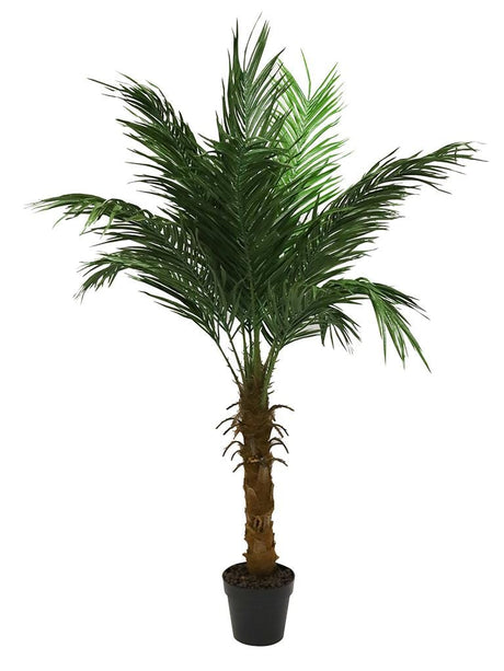 Palm Tree Pot - 150cms