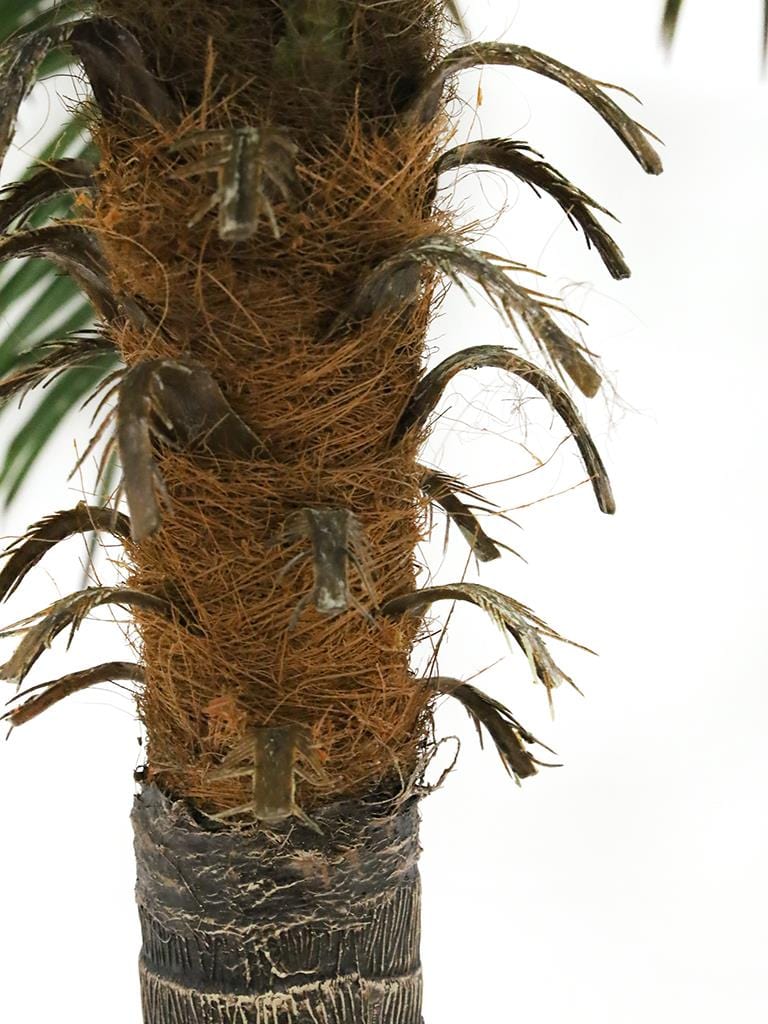 Palm Tree Pot - 210cms