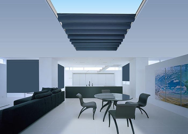 Signature Light Filter Roman Skylight Blinds