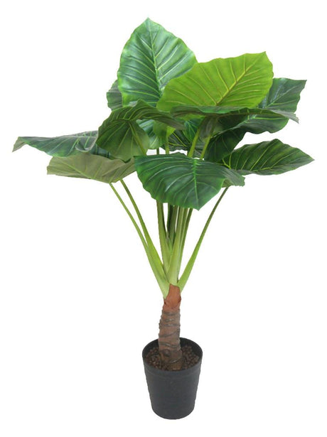 Taro Planter - 130cms