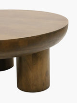 Walnut Wooden Coffee Table