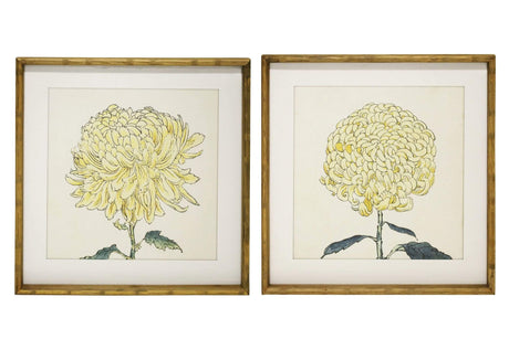 Chrysanthemum Framed Prints