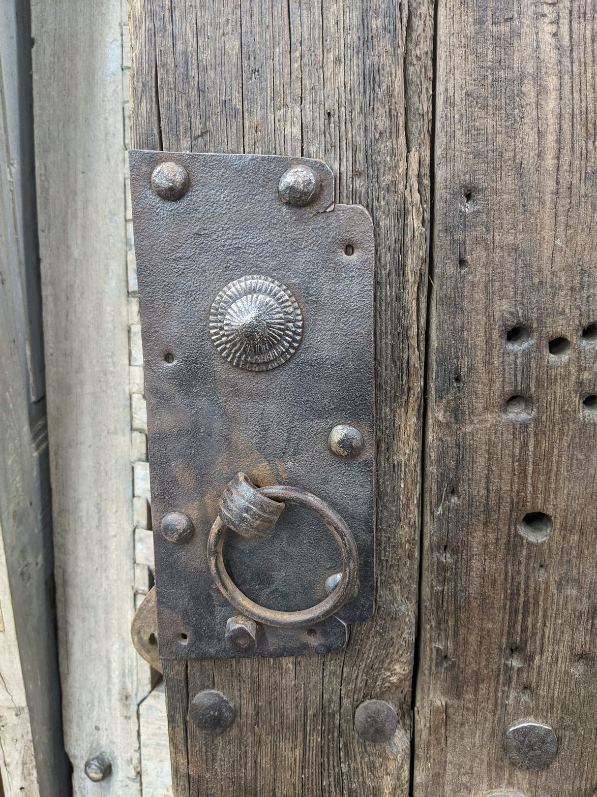 Elm Wood Antique Door