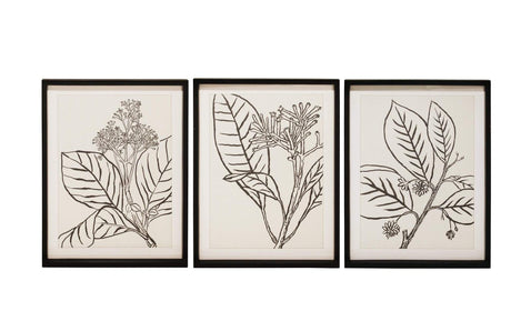 Wall Art Floral Sketch Framed Prints Black Frame (Each)